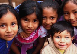 免费短信轰炸机试用